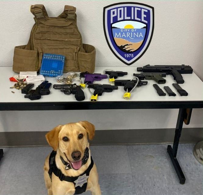 K9Riley Gun Find 091123